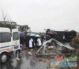 樟树有多少大汽车